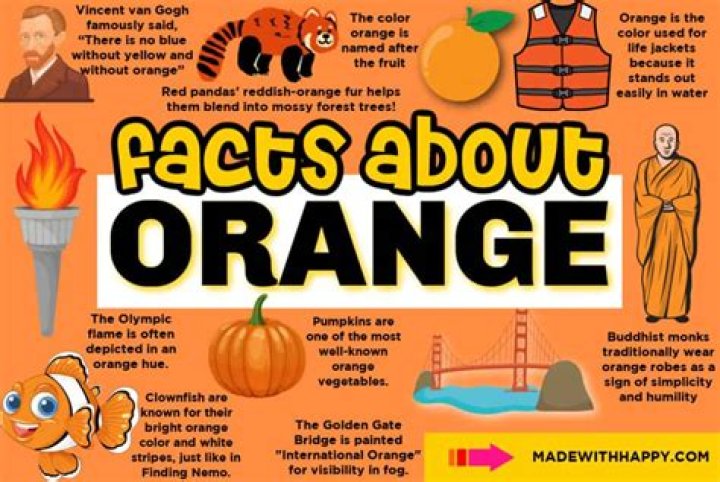 11 facts about Orange Princess