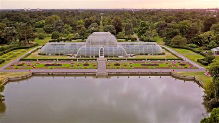 Dr. Alan Roth, DO – Kew Gardens, NY
