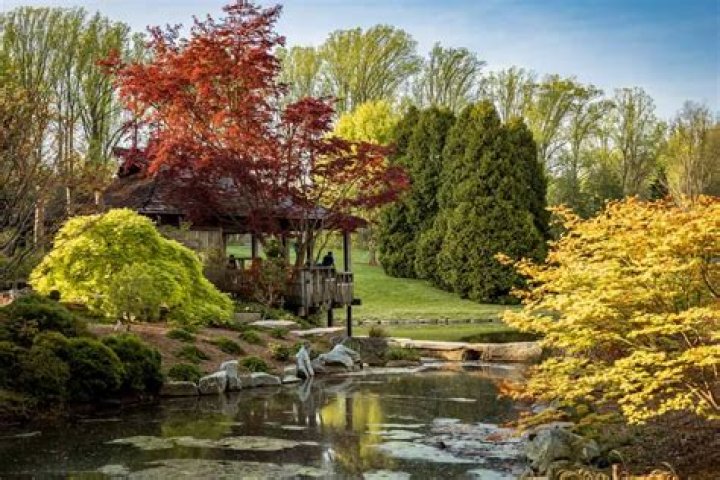Dr. Bethlehem Kassaye, DO – Silver Spring, MD