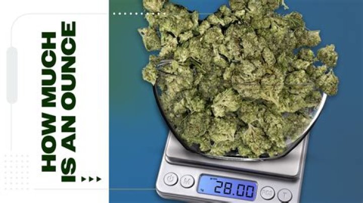 
Half Ounce Cause of Death, How did Half Ounce Die? 