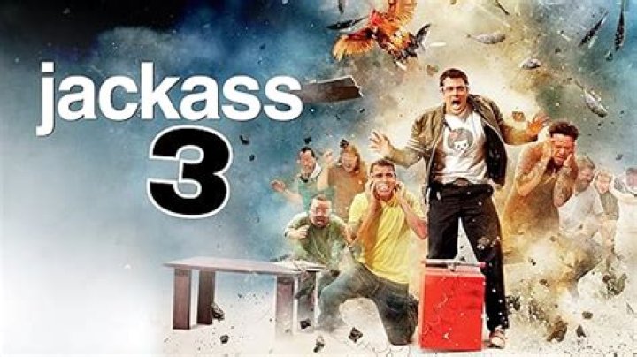 Jackass 3.5 Coming Soon?