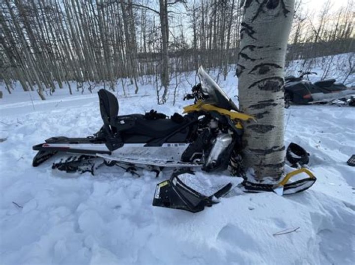 Lisa Michaels Obituary, Lisa Died in a snow Mobile Accident