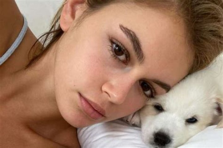 Presley Gerber Compares His Face Tattoo Criticism With The Transgender Community’s Experience And People Are Outraged!