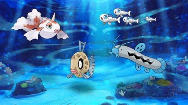 The 10 best fish Pokémon, ranked