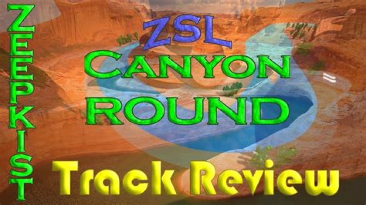 The Canyons Review