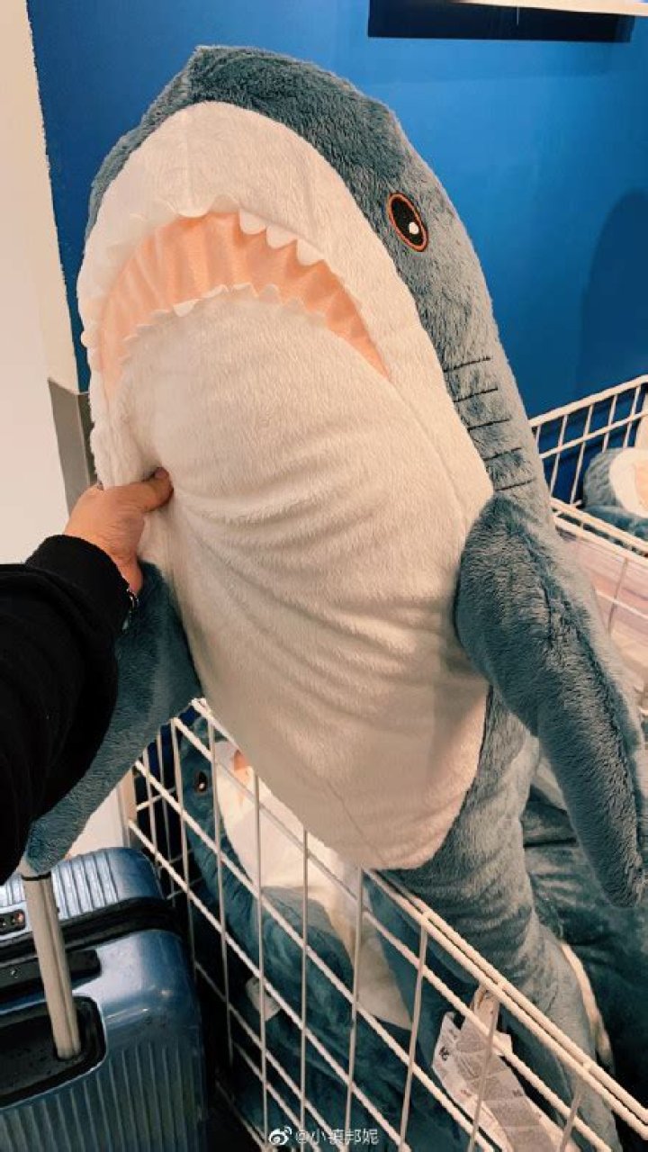 The Internet Is Freaking Out Over This Shark Plushie Being Discontinued