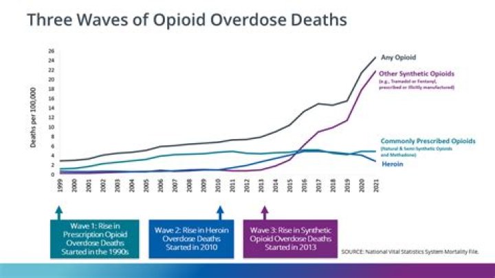 Tyler Gwozdz Reportedly Died From Opioid Toxicity