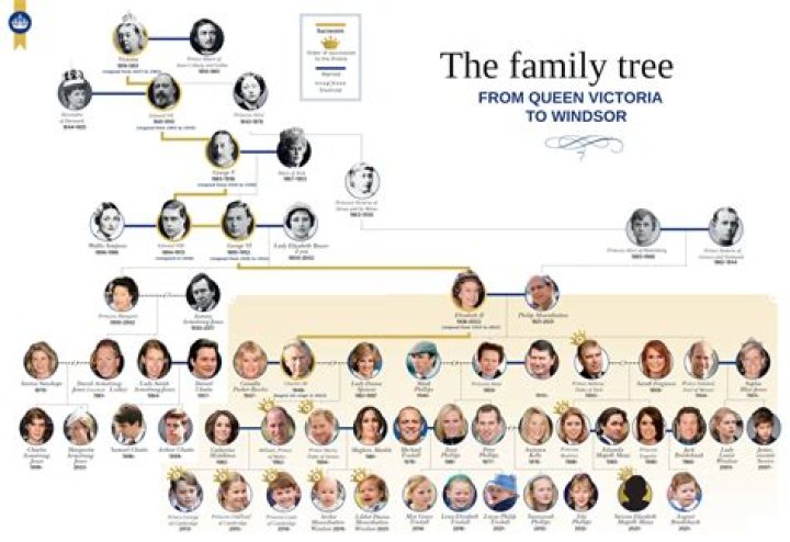 
Was James Stein Blue Mountains Arrested? What We Know On Justin Stein Brother and Family Tree 