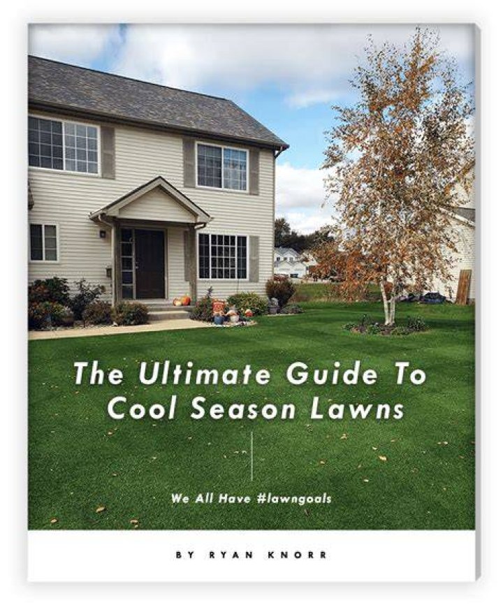 What could Ryan Knorr Lawn Care buy with $100 thousand?