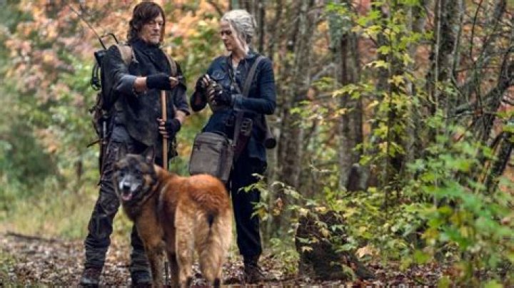 What happened to Dog in ‘The Walking Dead?’